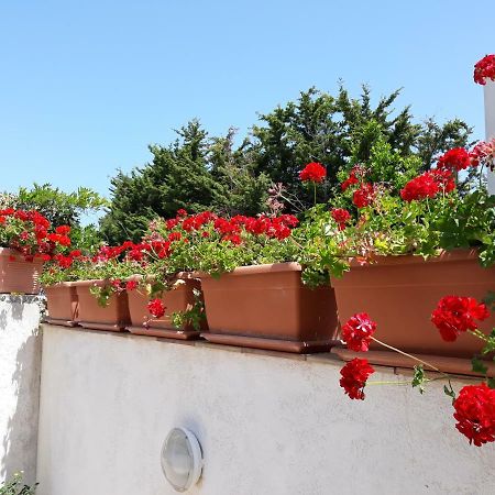 Villino Messina Apartment San Vito Lo Capo Exterior photo